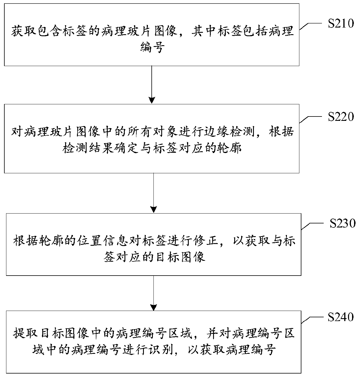 Pathological number identification method and device, information identification method and device and information identification system