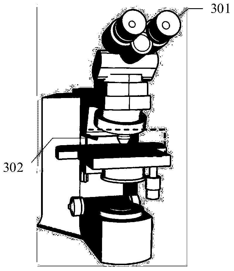 Pathological number identification method and device, information identification method and device and information identification system