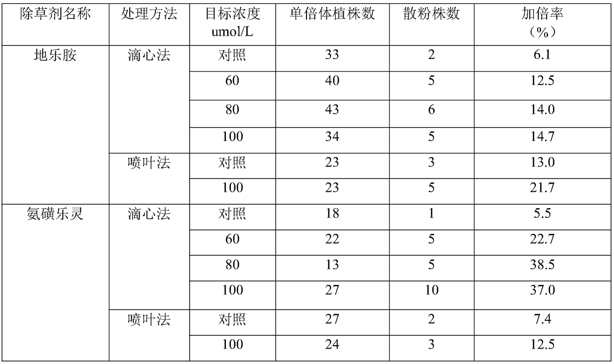 Method for doubling corn haploid by herbicides