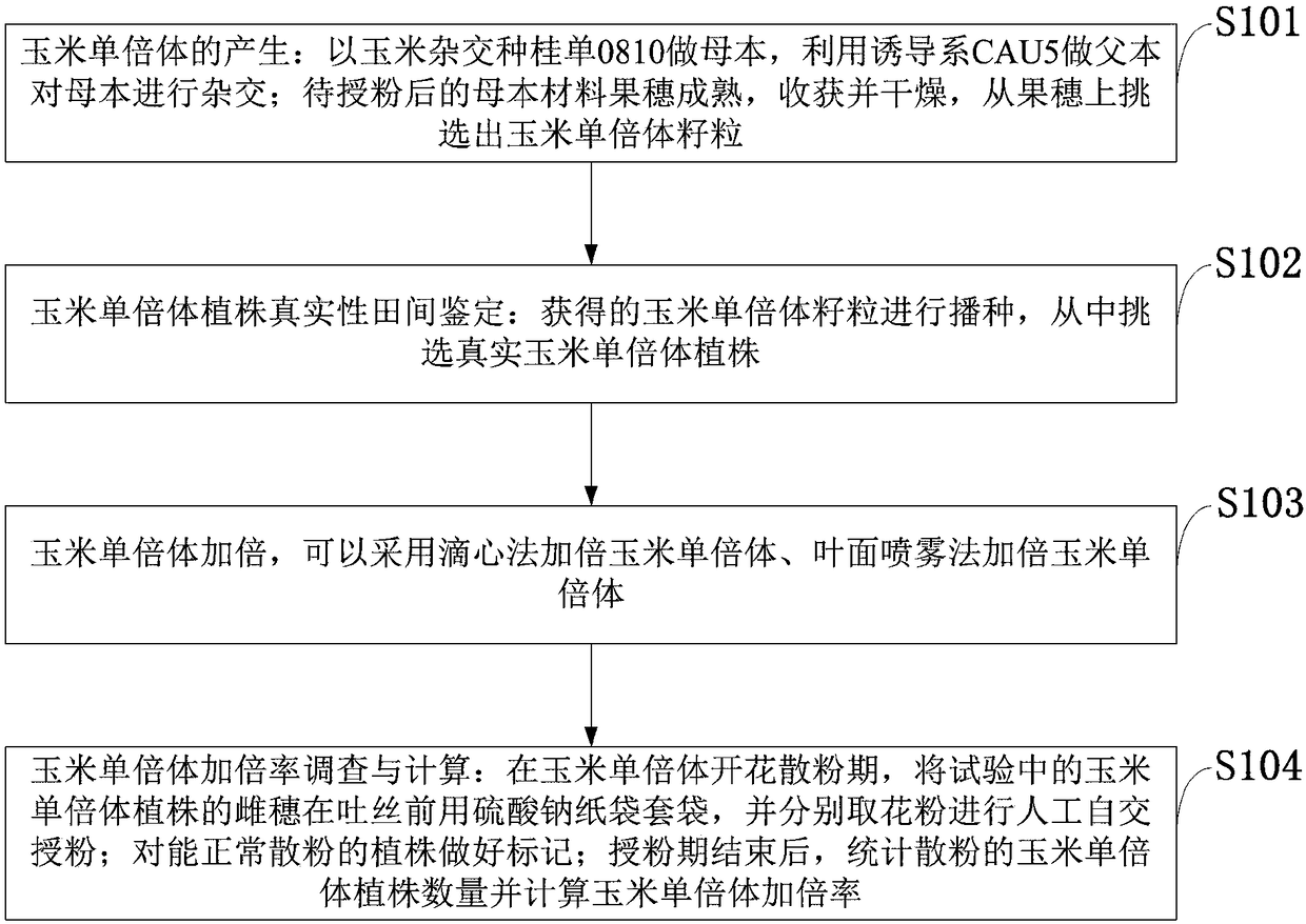 Method for doubling corn haploid by herbicides