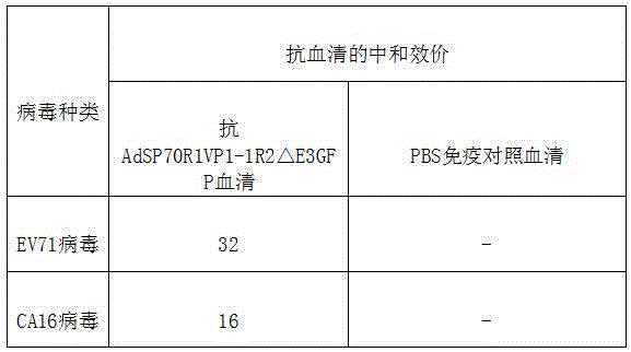 Recombinant human type 3 adenovirus as well as preparation method and application thereof