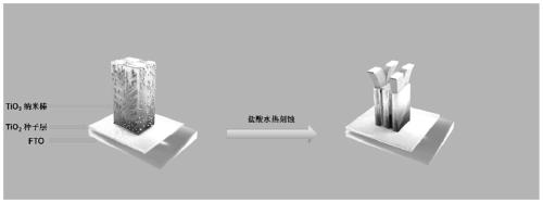 One-dimensional ultralong TiO2 nanorod array, preparation method thereof and application thereof in dye-sensitized solar cell