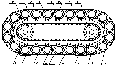 Seed sowing device