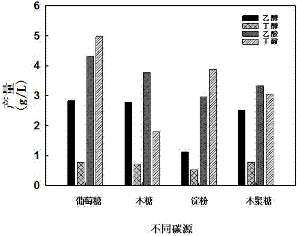 Strain for directly producing butanol by utilizing xylan as sole carbon source and application of strain