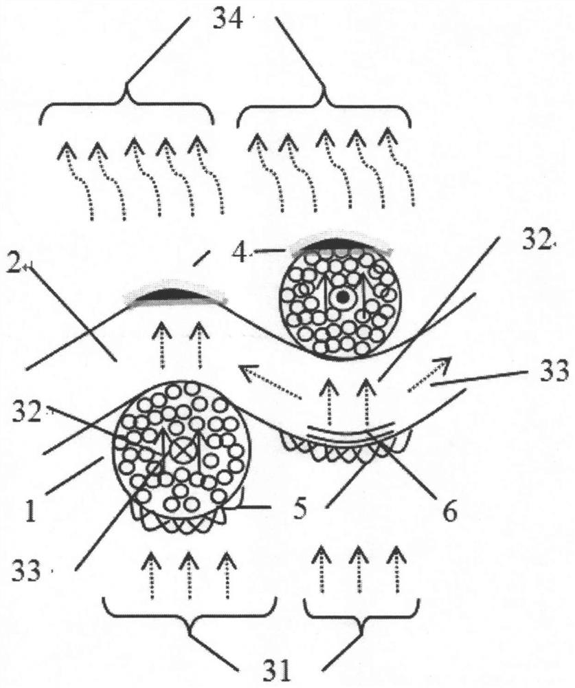 A kind of water-repellent and perspiration-wicking double-sided functional fabric with gradient structure and its application