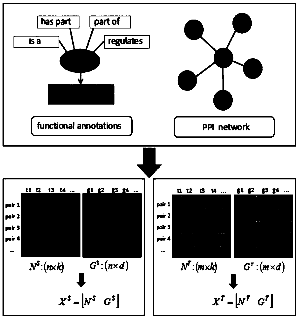 prediction-and-synthesis-of-lethal-genes-based-on-cross-species