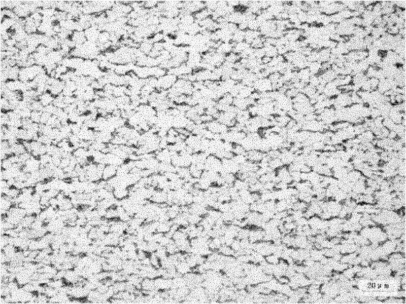 Method for producing hot rolled steel coils