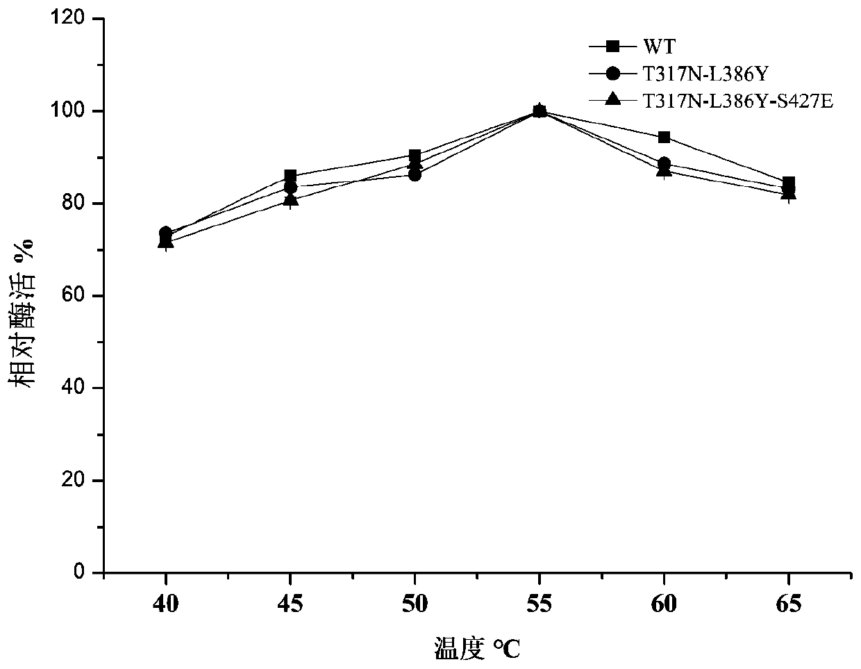 Multicopper oxidase mutant with improved salt tolerance