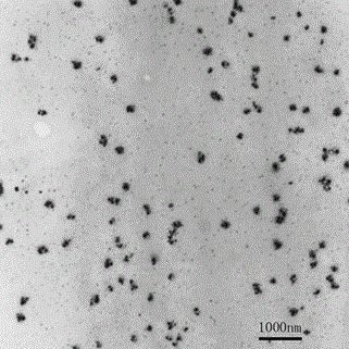 Wear-resistant, antistatic polyoxymethylene material and preparation method thereof