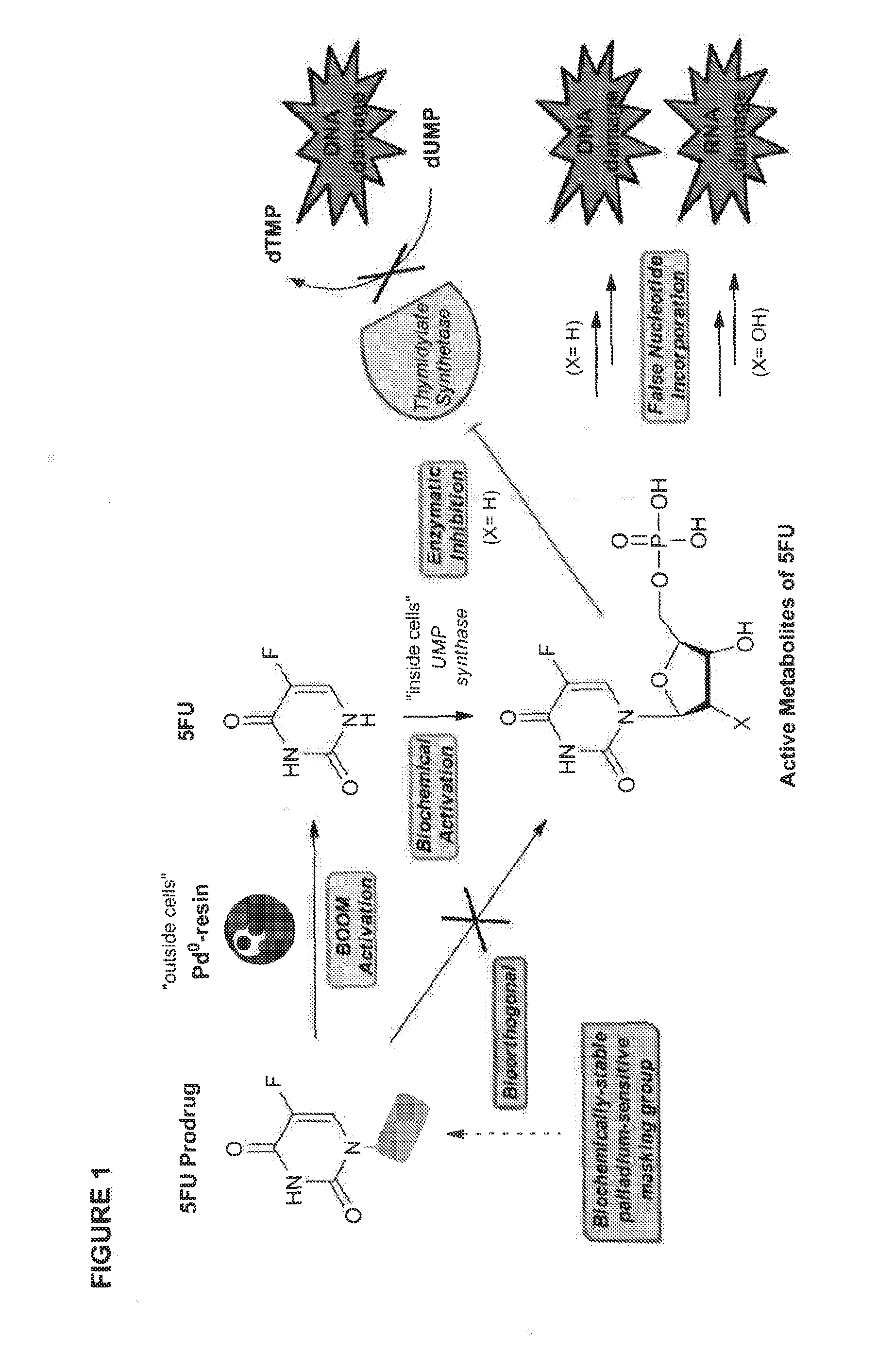 Bioorthogonal methods and compounds