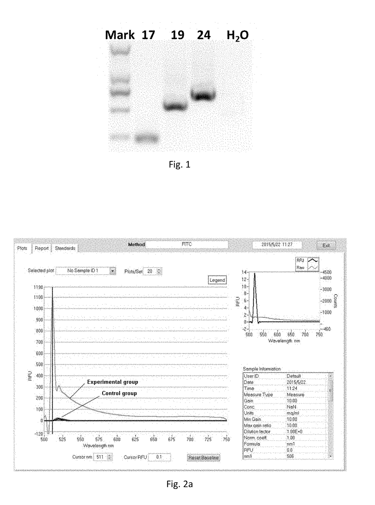 Polypeptide specifically binding to cd34 molecule and use thereof