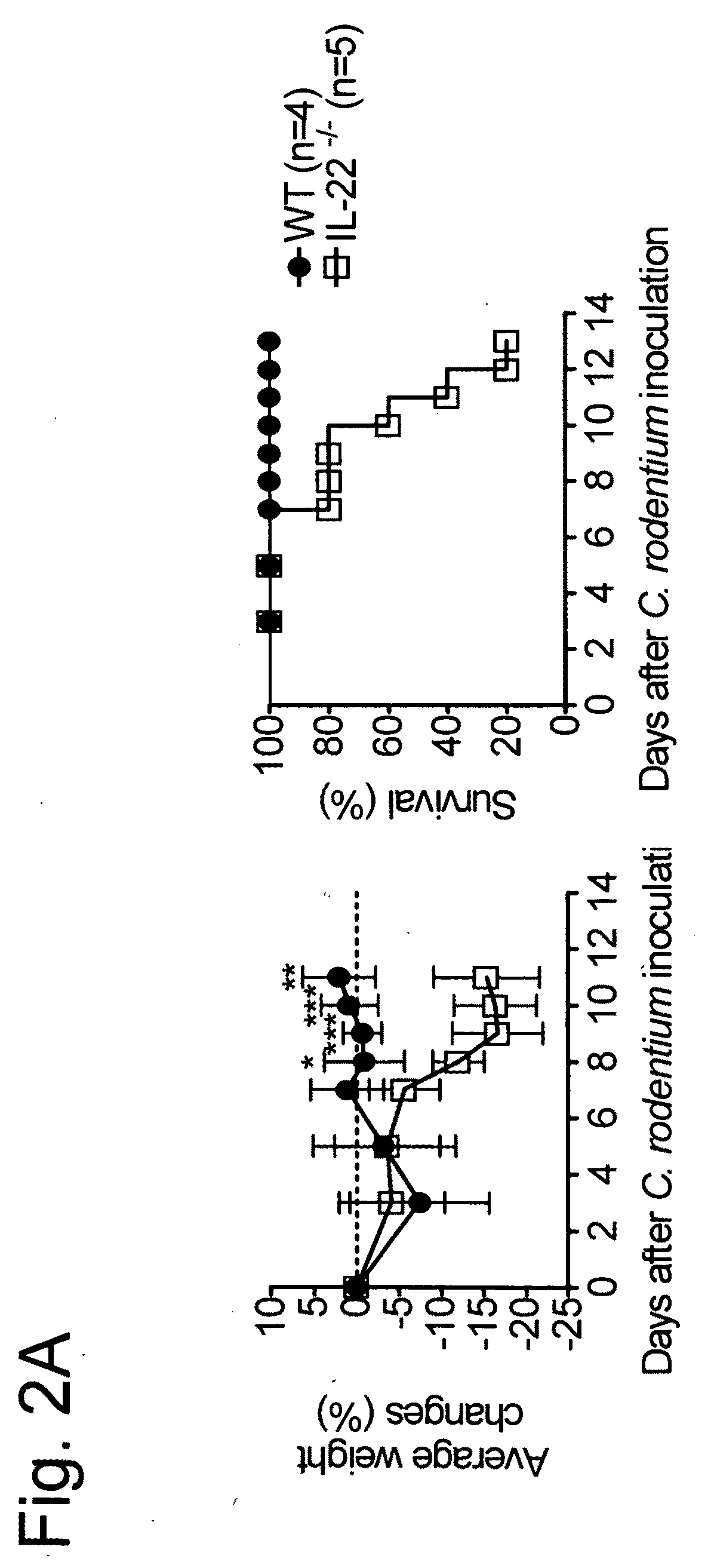Compositions and methods for treatment of microbial disorders