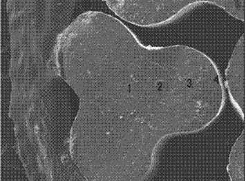 Alumina carrier and its preparation method