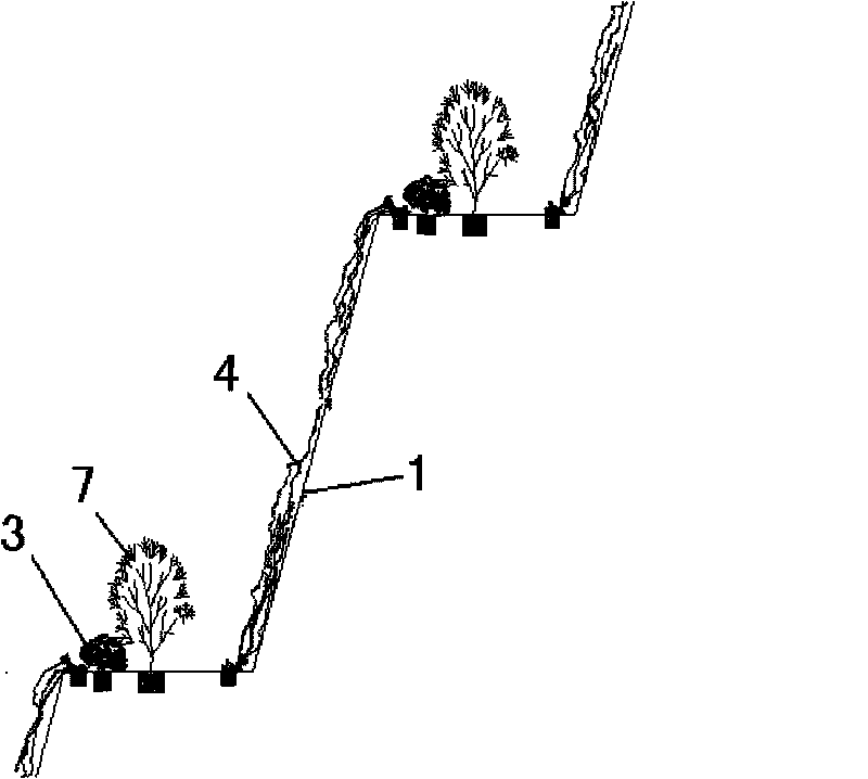 Method for growing plants on slope