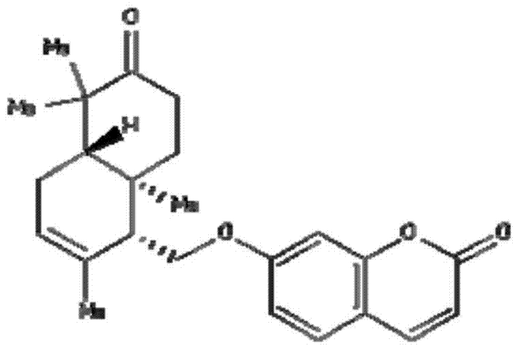 The application of ferulone as a β2-adrenoceptor antagonist