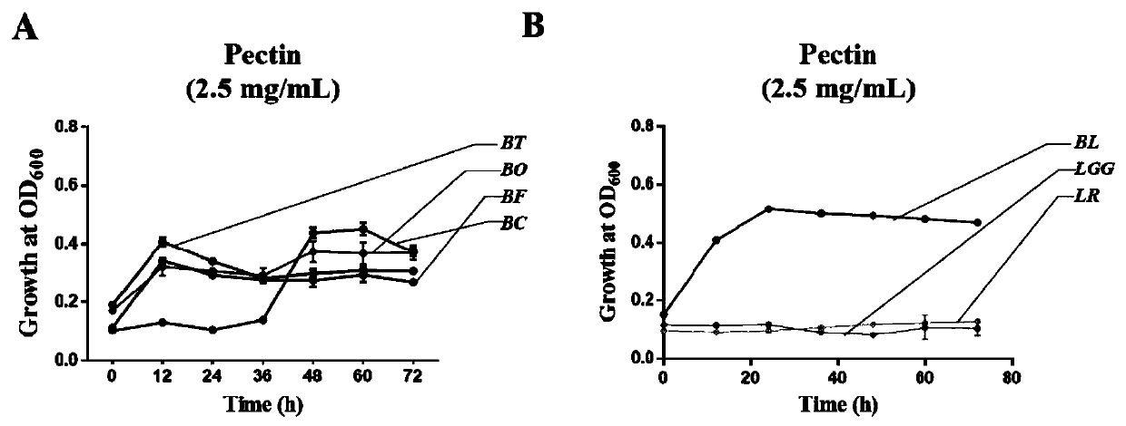 Method for detecting influence of dietary fiber on activity of human intestinal bacteria