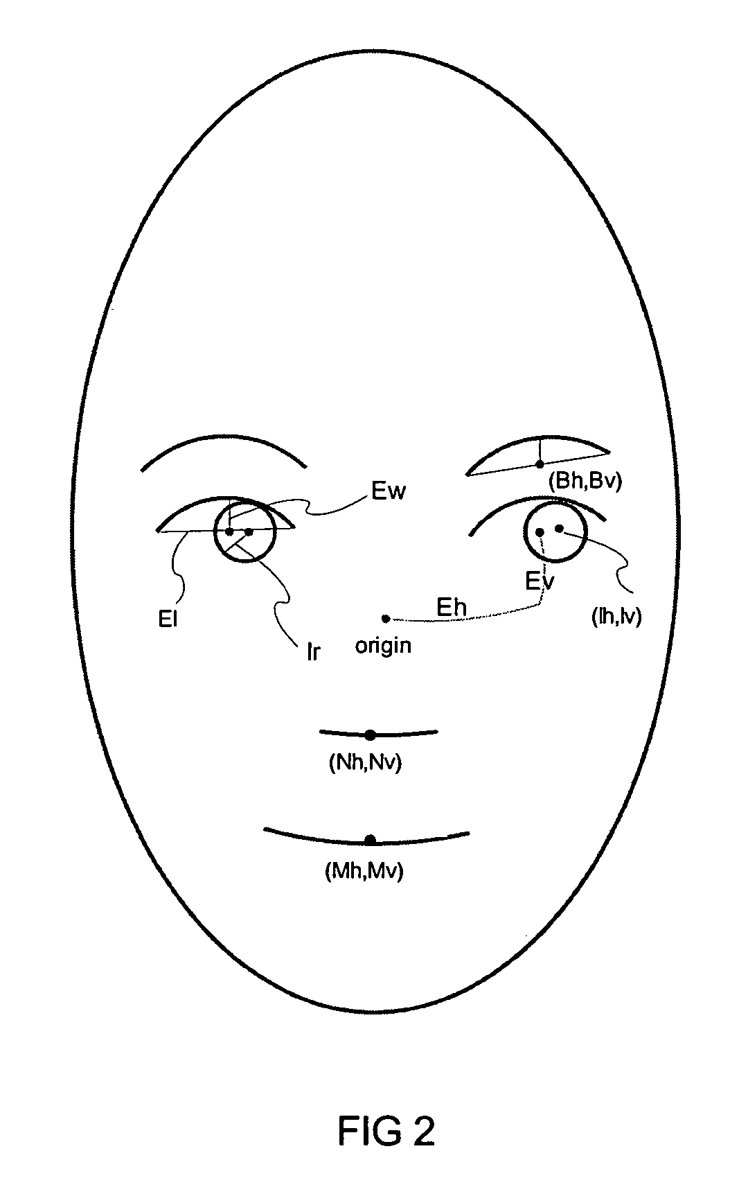 Estimating facial pose from a sparse representation