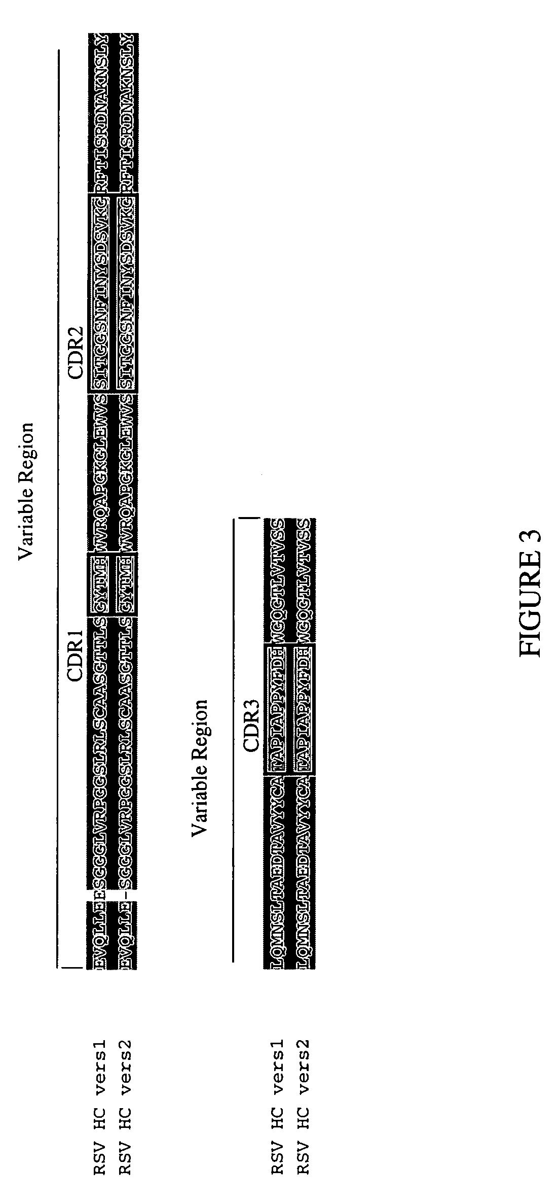 RSV proteins, antibodies, compositions, methods and uses