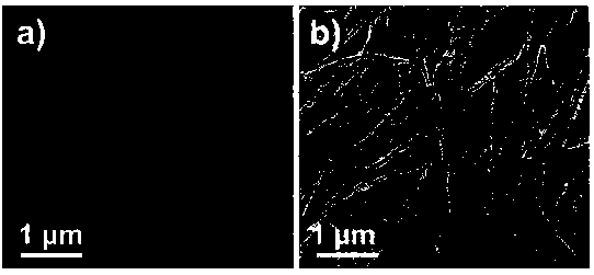 A method for preparing high-efficiency carbon nitride nanorod photocatalysts by acidification-assisted hydrothermal method