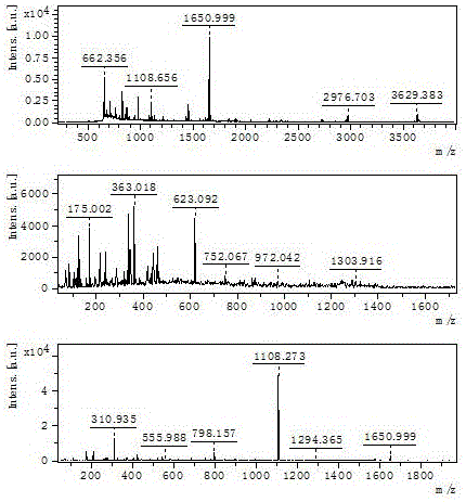 Method for screening and confirming kidney-yang deficiency animal model biomarker