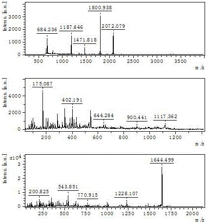 Method for screening and confirming kidney-yang deficiency animal model biomarker