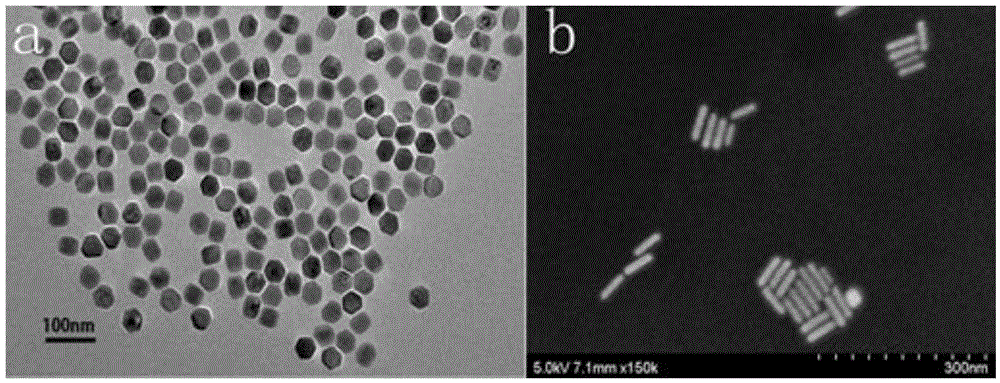 Nanoparticles composited with upconversion nanoparticles and gold nanorods, preparation method and application thereof