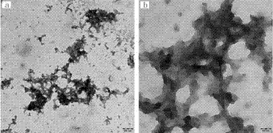 Diamond-shaped dodecahedron hollow potassium tannate nanoparticles and preparation method thereof