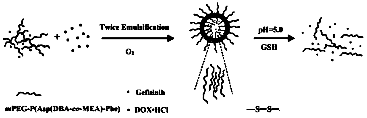 A nanovesicle with double sensitivity to pH and reduction and its preparation method and application