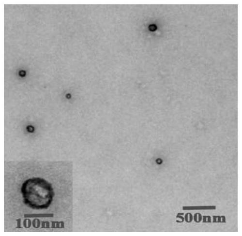 A nanovesicle with double sensitivity to pH and reduction and its preparation method and application