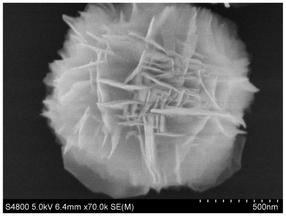 Two-dimensional Ni-Ir porous nanosheet and preparation method and application thereof