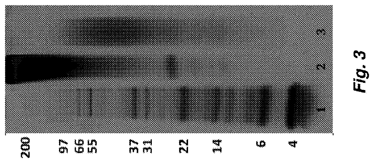 Method to enhance wound healing using silk-derived protein