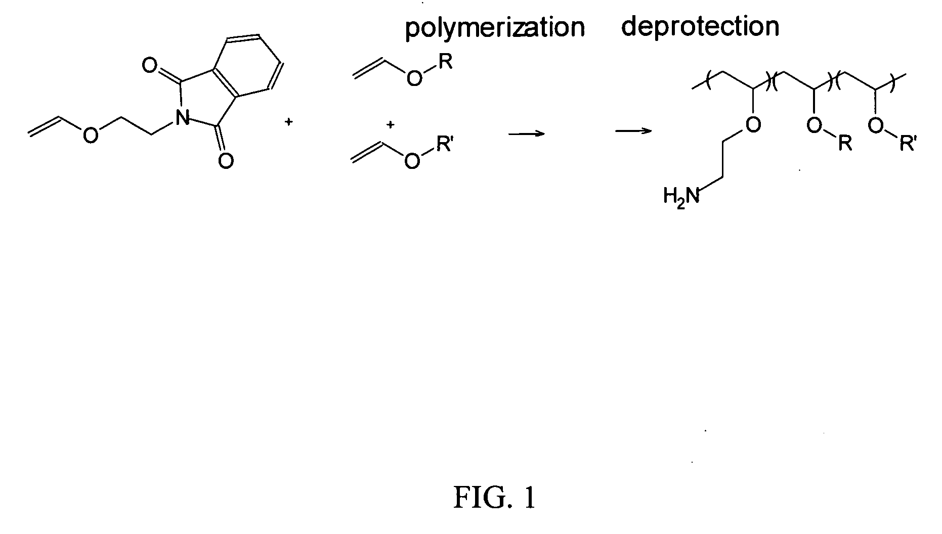 Endosomolytic Poly(Vinyl Ether) Polymers