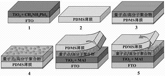 Double-sided photoresponse perovskite solar cell and preparation method thereof