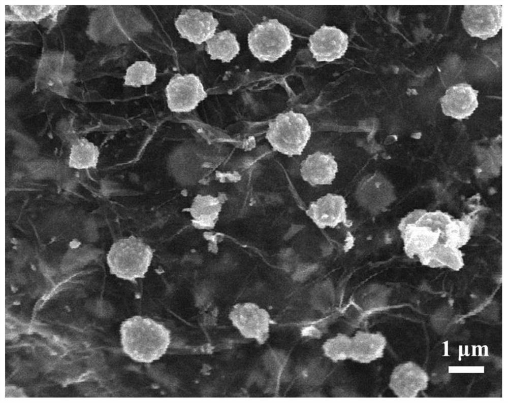 Supercapacitor electrode powder material and preparation method thereof