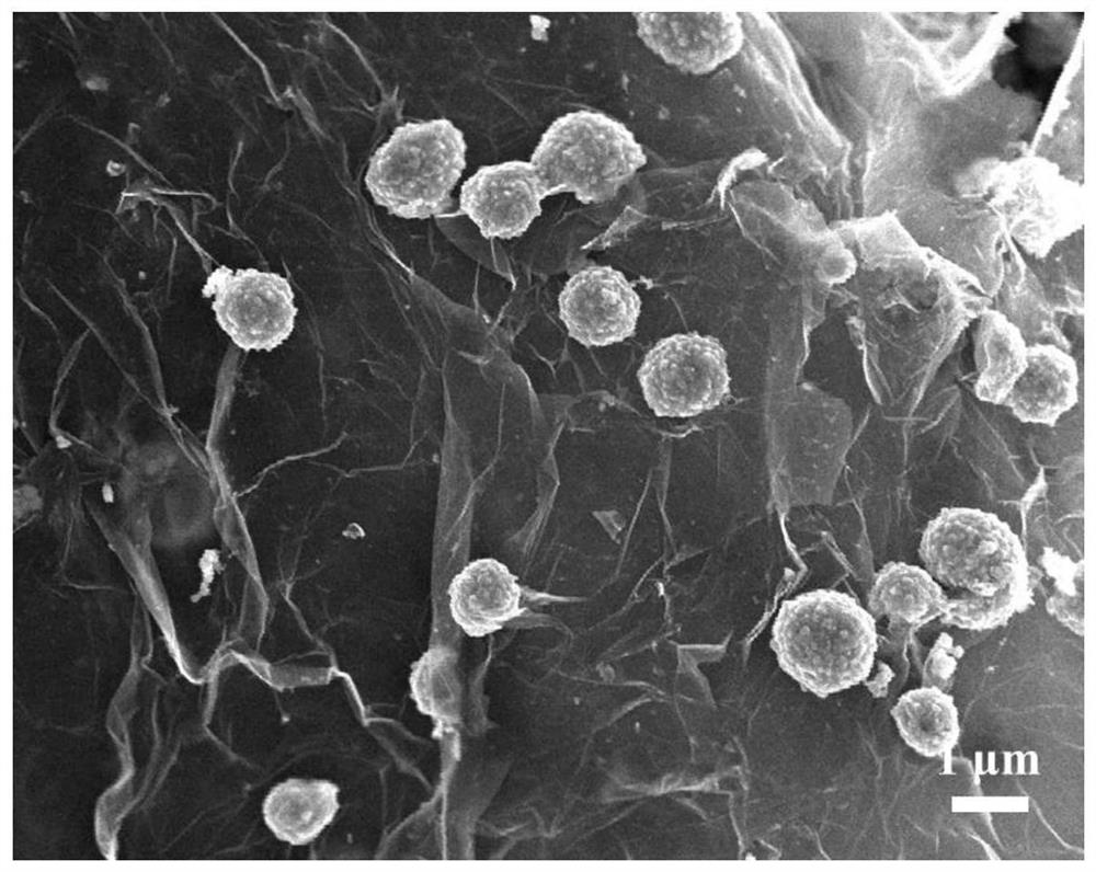 Supercapacitor electrode powder material and preparation method thereof