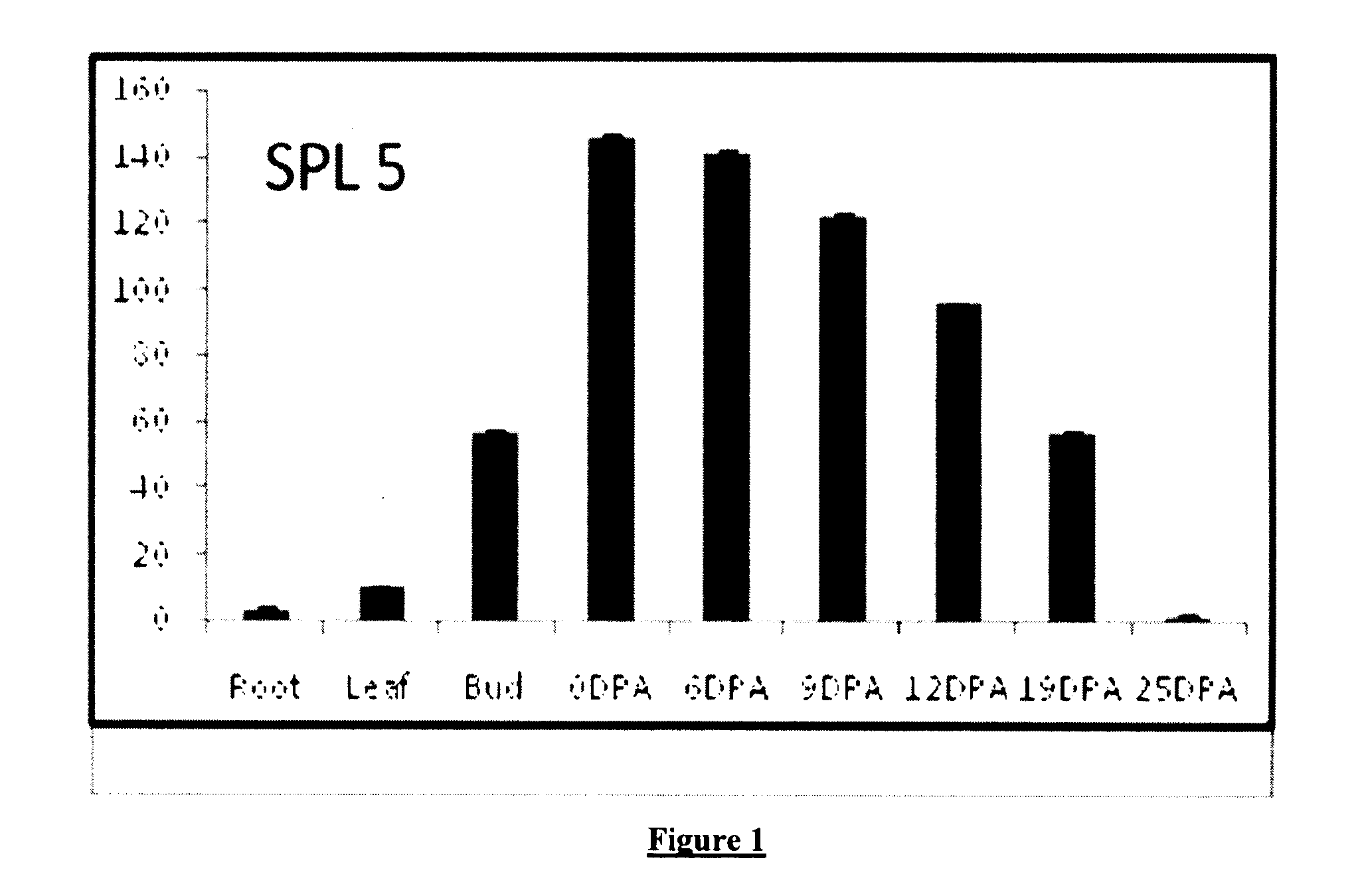 Method for production of transgenic cotton plants