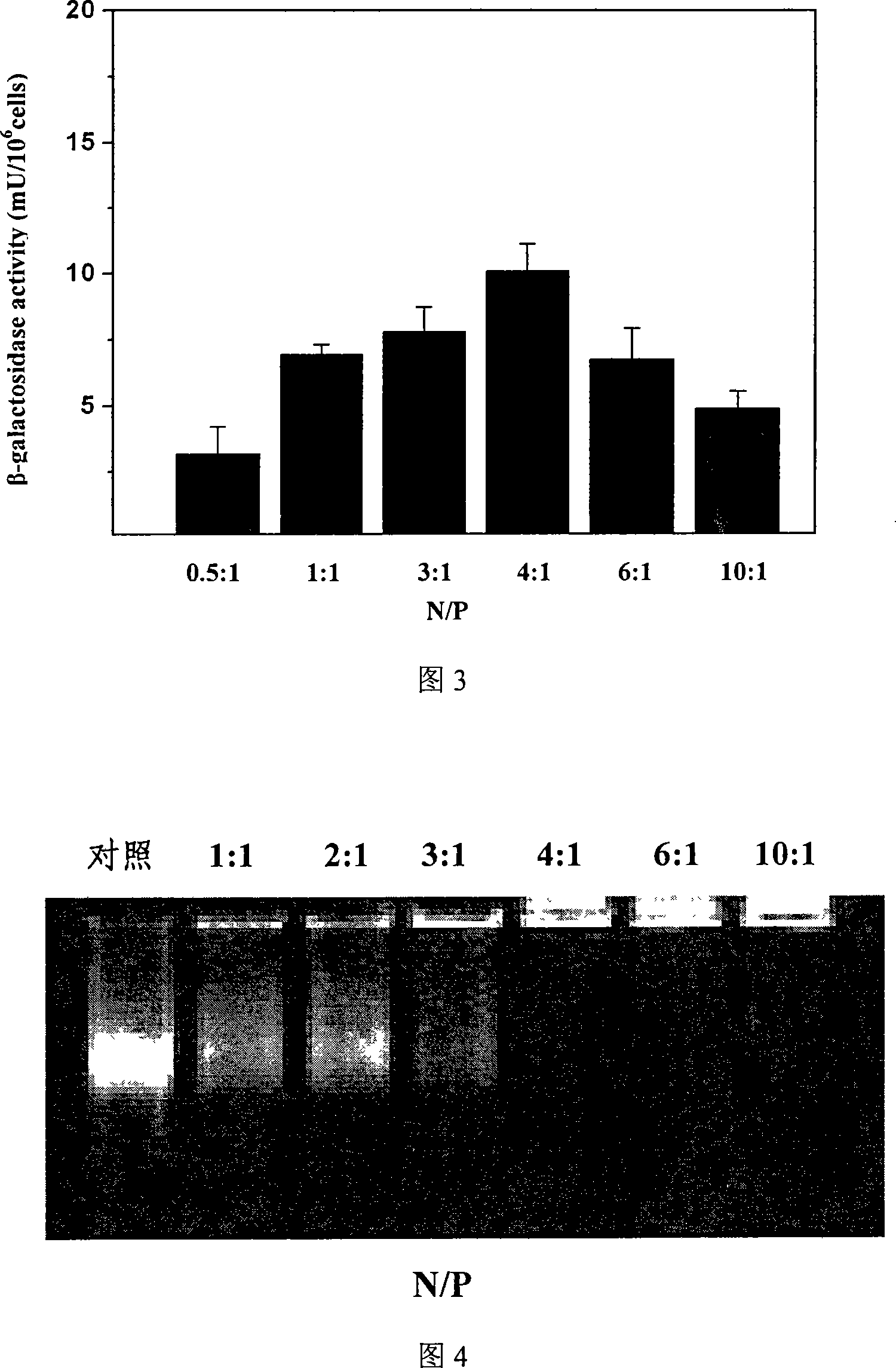 Non-virus nano nucleic acid transferring composite for curing gristle defection by injecting in joint cavity and preparing method thereof