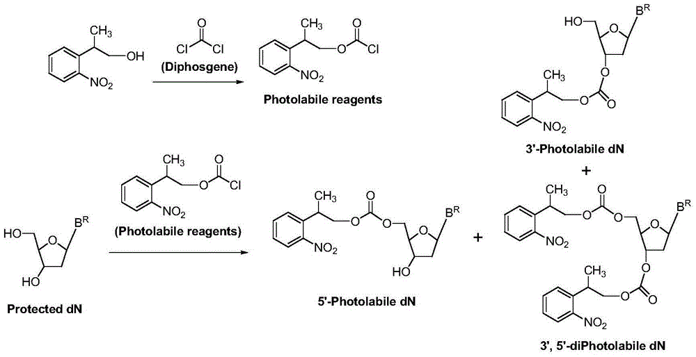 Carbonic ester photosensitive reagent as well as preparation method thereof and method for preparing 5'-photosensitive protected nucleoside