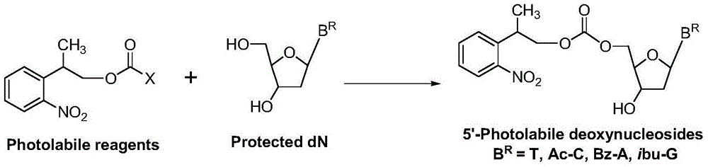 Carbonic ester photosensitive reagent as well as preparation method thereof and method for preparing 5'-photosensitive protected nucleoside