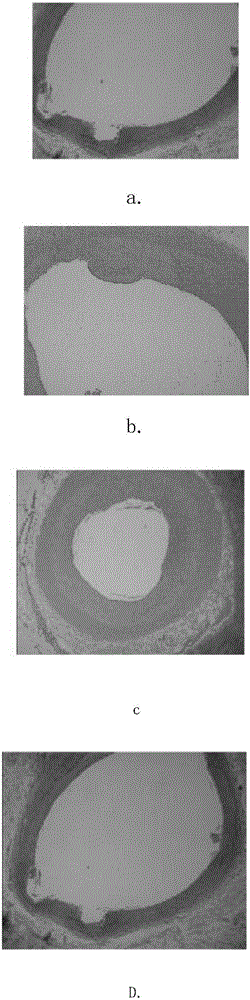 Manufacturing method for manufacturing magnesium alloy vascular stent