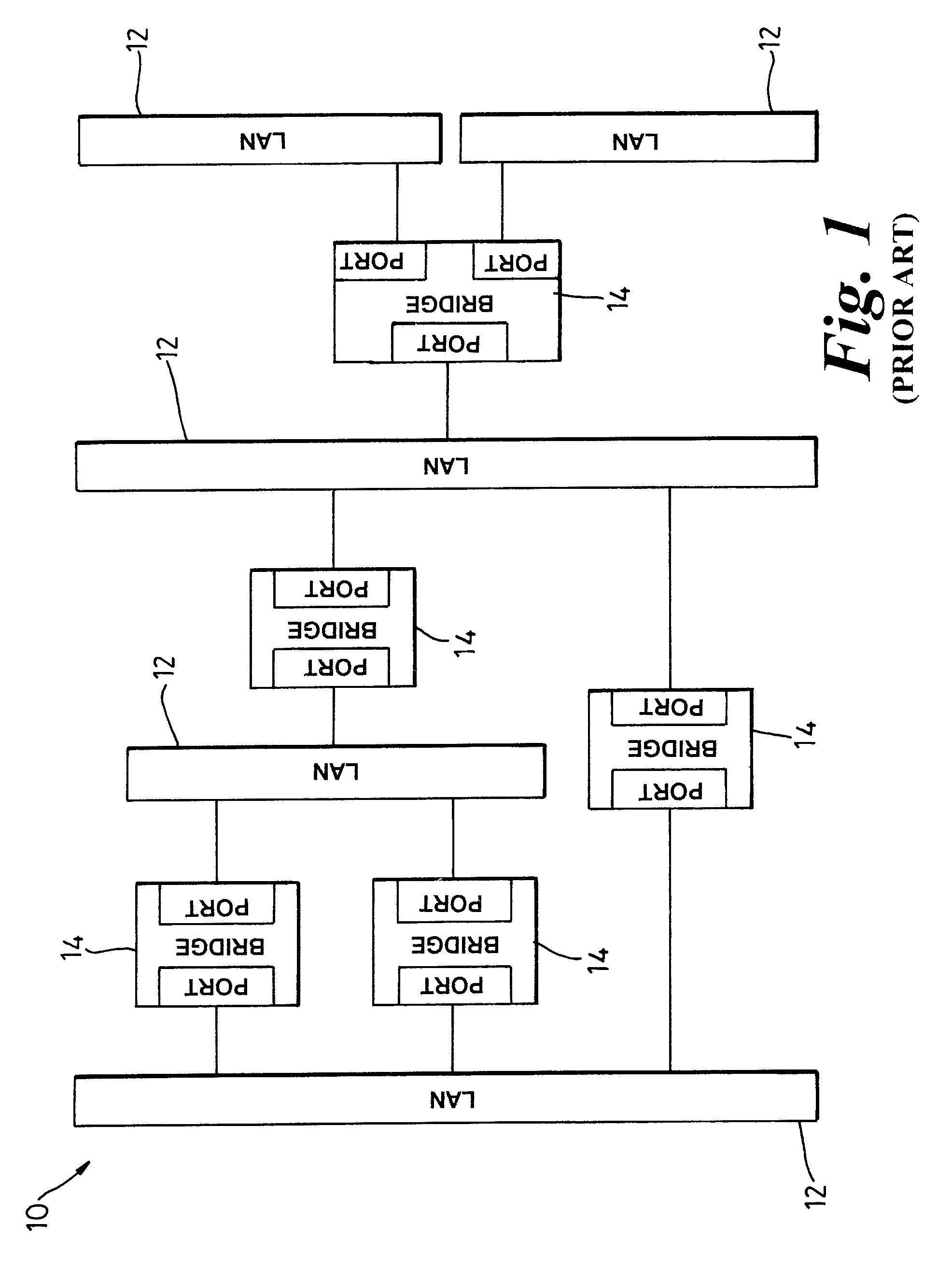Differential forwarding in address-based carrier networks