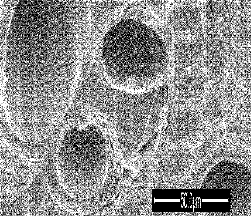 Method for preparing environmentally-friendly plastic wood