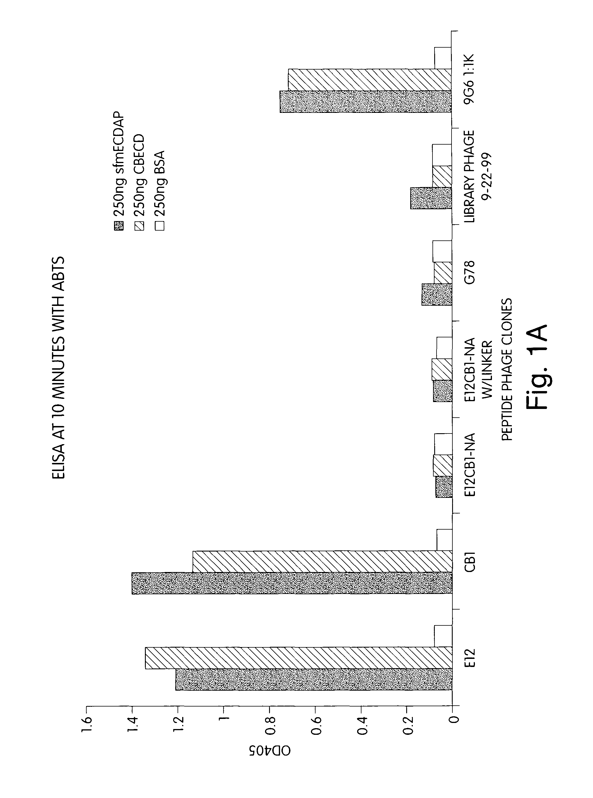 Binding peptides specific for the extracellular domain of ErbB2 and uses therefor