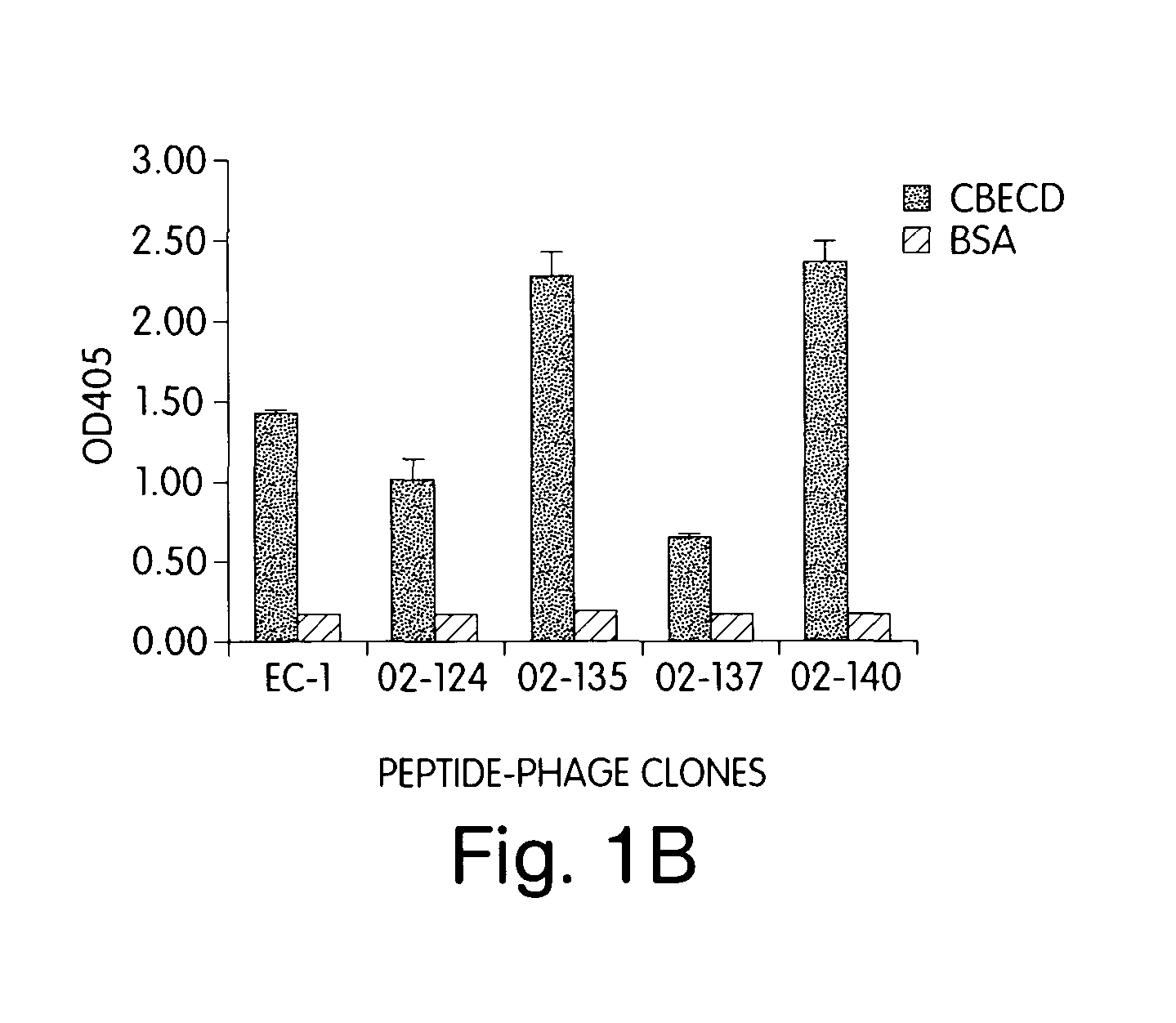 Binding peptides specific for the extracellular domain of ErbB2 and uses therefor