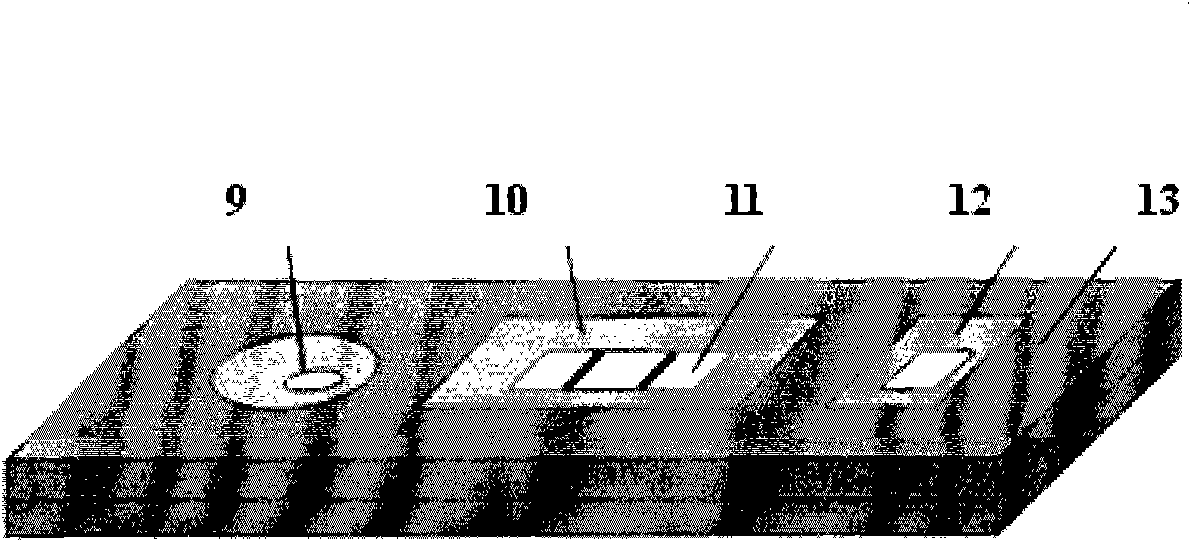 Drug residue competition-type quantum dot-labeled immunochromatography assay test-strip and observation device thereof