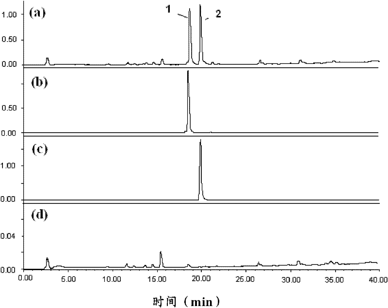 Preparation method for 3-surface ester bufotalin