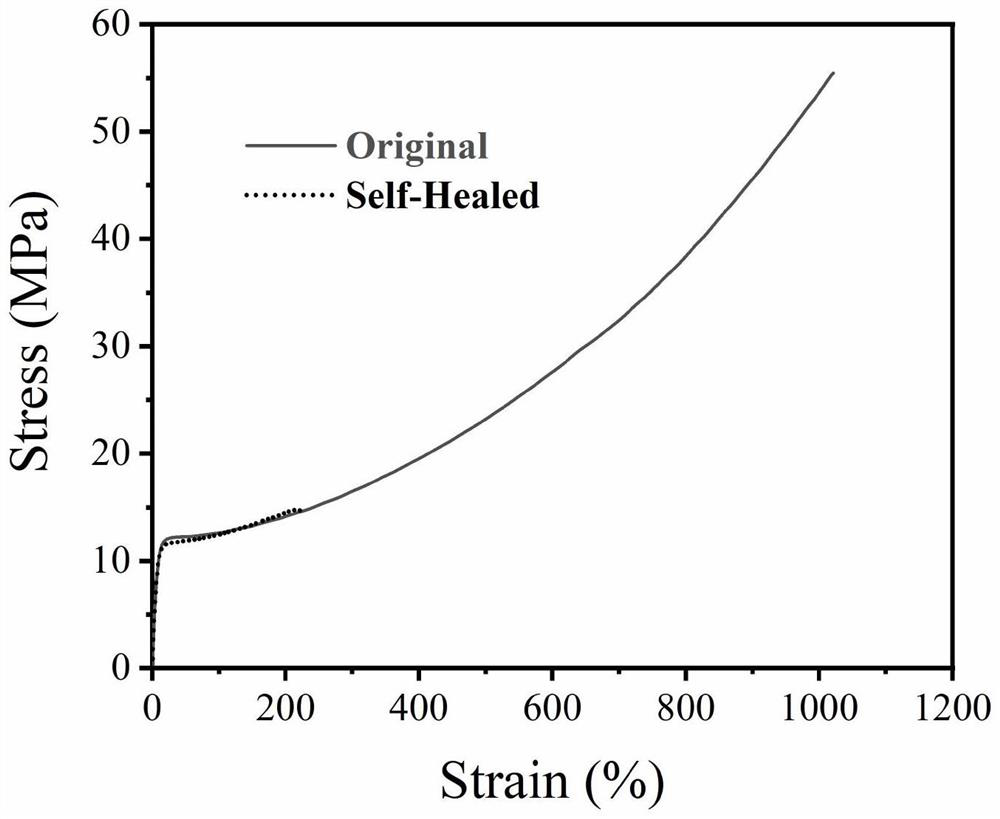 Borate-based self-repairing polyurethane based on internal coordination and preparation method thereof