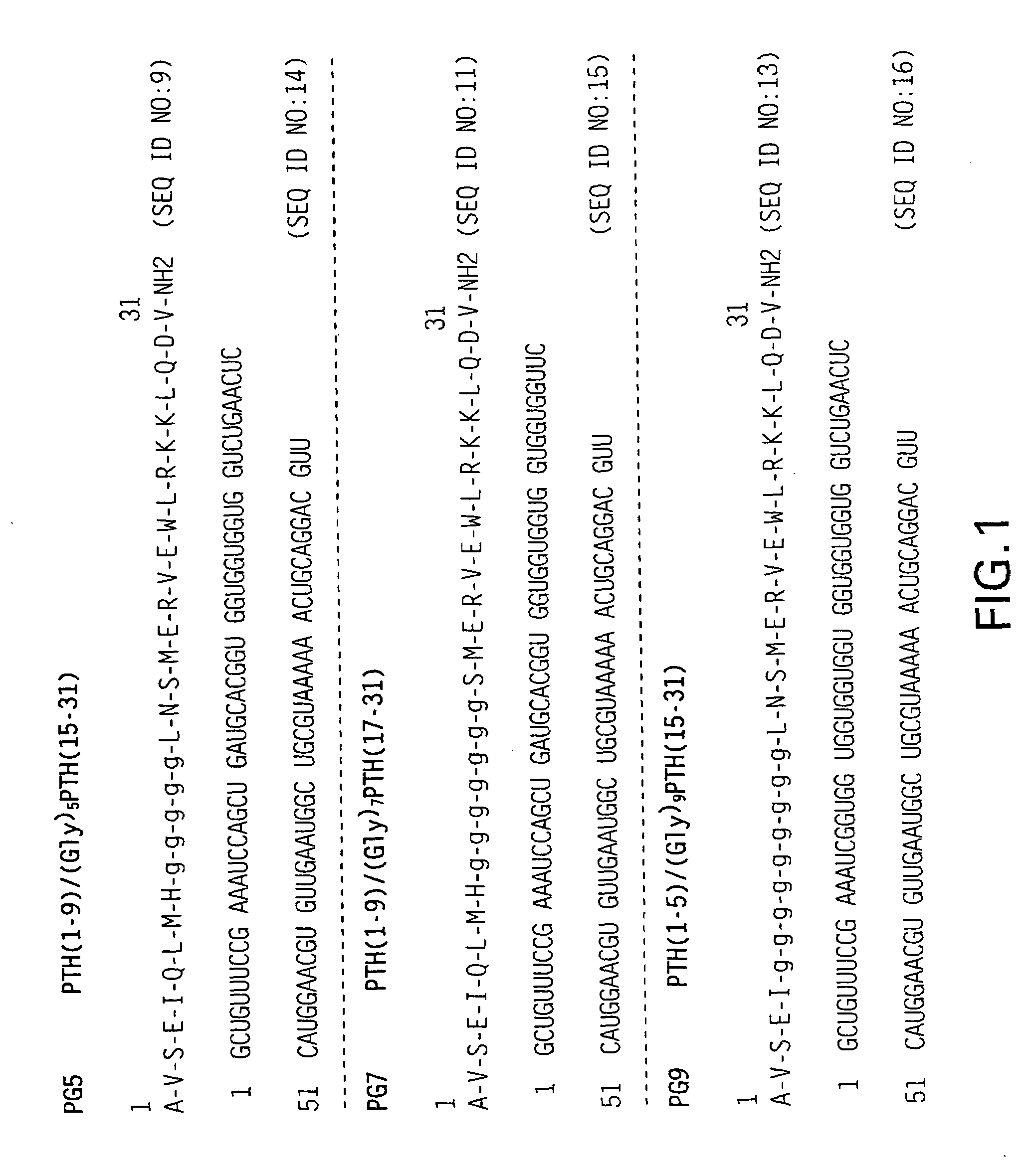 Nucleic acids encoding PTH functional domain conjugate peptides