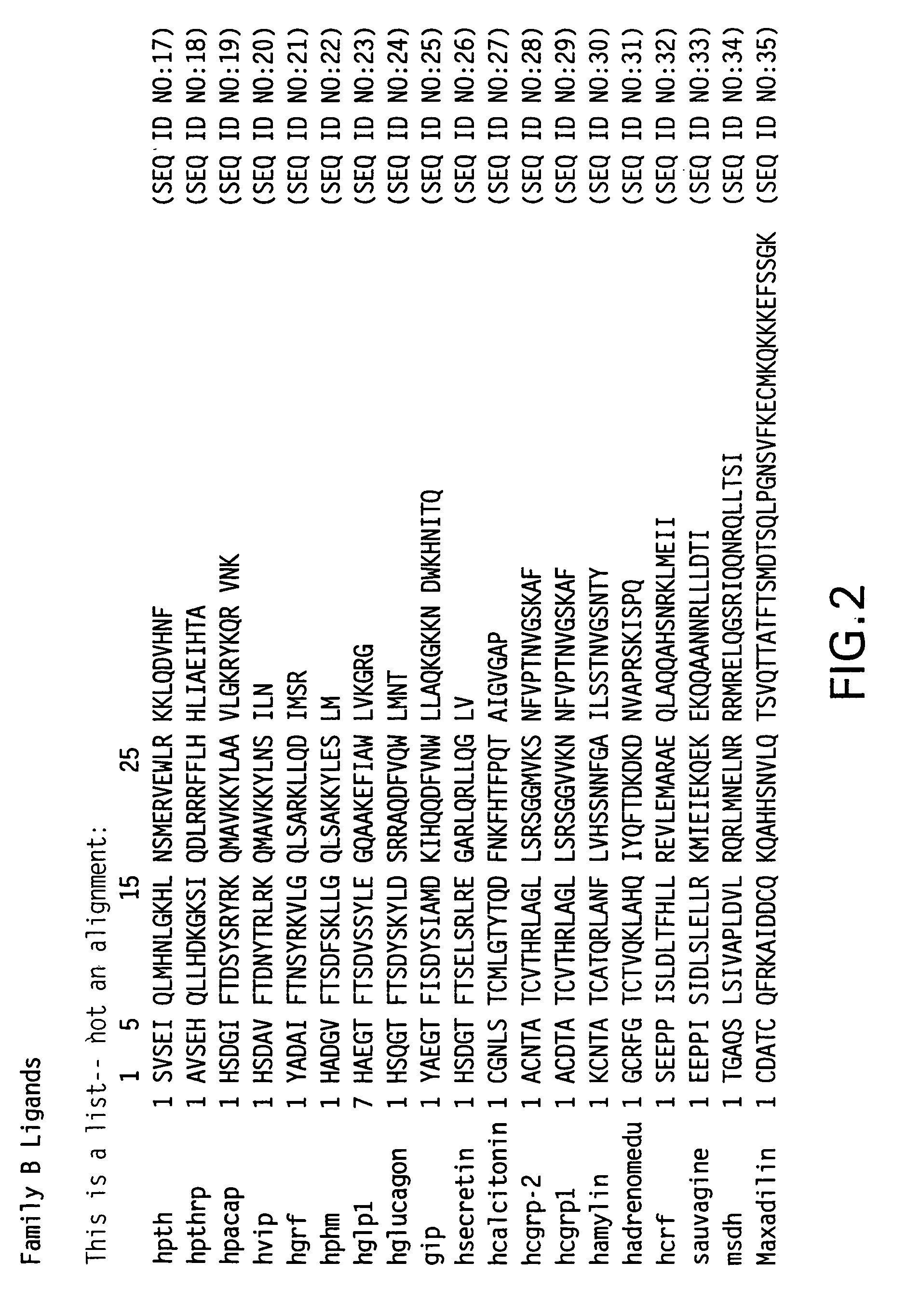 Nucleic acids encoding PTH functional domain conjugate peptides