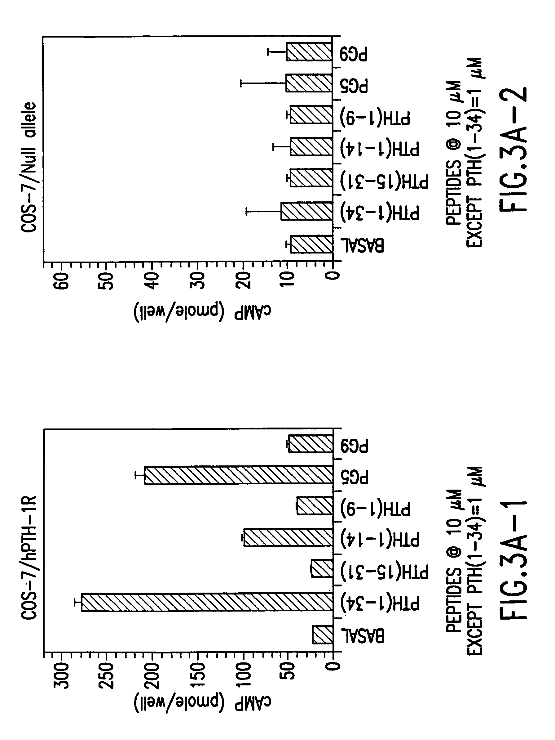 Nucleic acids encoding PTH functional domain conjugate peptides